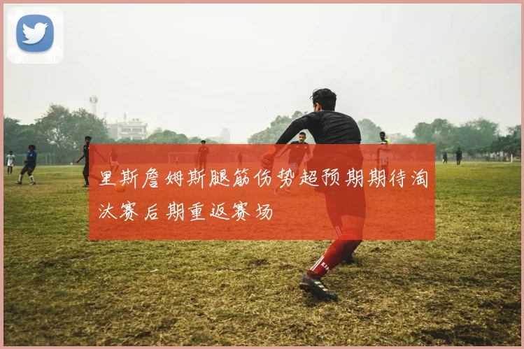 里斯詹姆斯腿筋伤势超预期期待淘汰赛后期重返赛场